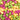 Maoam Kracher Brause